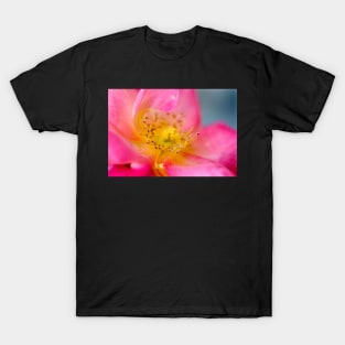 Open Pink Rose T-Shirt